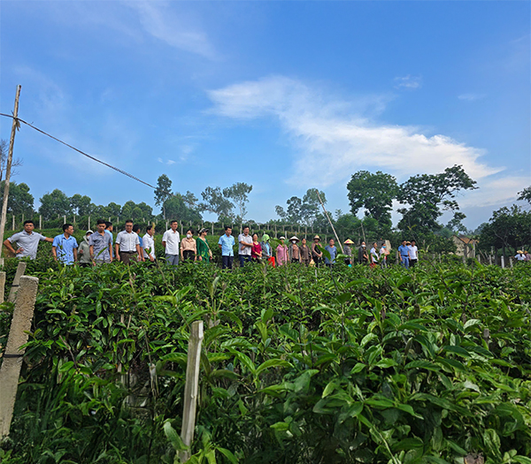 CÔNG TY TNHH TAM DƯƠNG BẮC